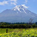 Mt. Taranaki