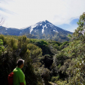 Aussicht auf den Mt Taranaki