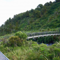 Wilkies Pools Bridge